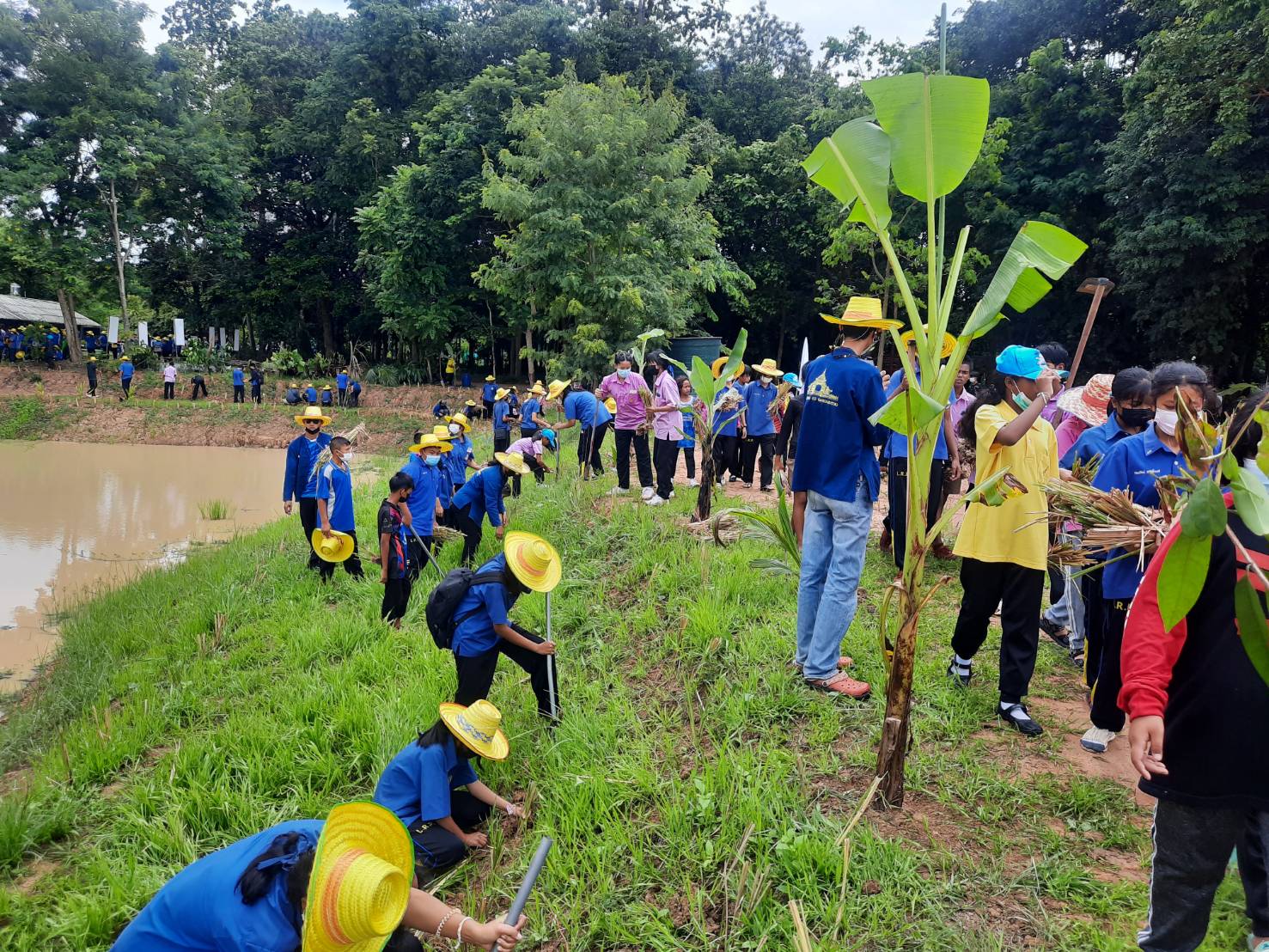 รวมพลังจิตอาสาจังหวัดบุรีรัมย์ จัดกิจกรรมบำเพ็ญสาธารณประโยชน์ “โคกหนองนาอารยะเกษตร ทอดผ้าป่าพันธ์ุไม้ เอามื้อสามัคคี”