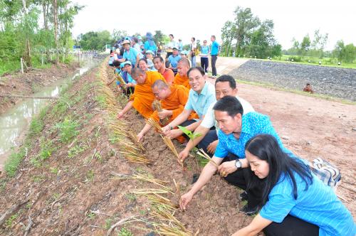 จิตอาสาพระราชทาน อุบลราชธานี ได้จัดกิจกรรมจิตอาสาพัฒนา “โครงการรักษ์ป่า รักษ์น้ำเฉลิมพระเกียรติสมเด็จพระนางเจ้าสิริกิติ์พระบรมราชินีนาถพระบรมราชชนนีพันปีหลวง” ปลูกหญ้าแฝก เพื่อการอนุรักษ์ดิน และน้ำ และรักษาสภาพสิ่งแวดล้อม ณ จังหวัดอุบลราชธานี ประจำปี 2566