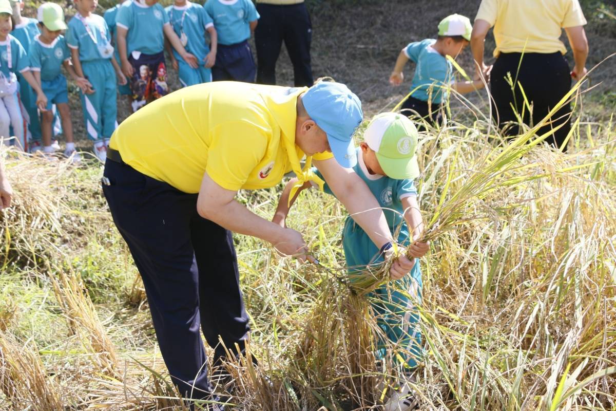 จิตอาสาพระราชทานมณฑลทหารบกที่ 37 จัดกิจกรรมลงแขกเกี่ยวข้าว ปลูกวันแม่ เกี่ยววันพ่อ ณ ค่ายเม็งรายมหาราช อำเภอเมือง จังหวัดเชียงราย