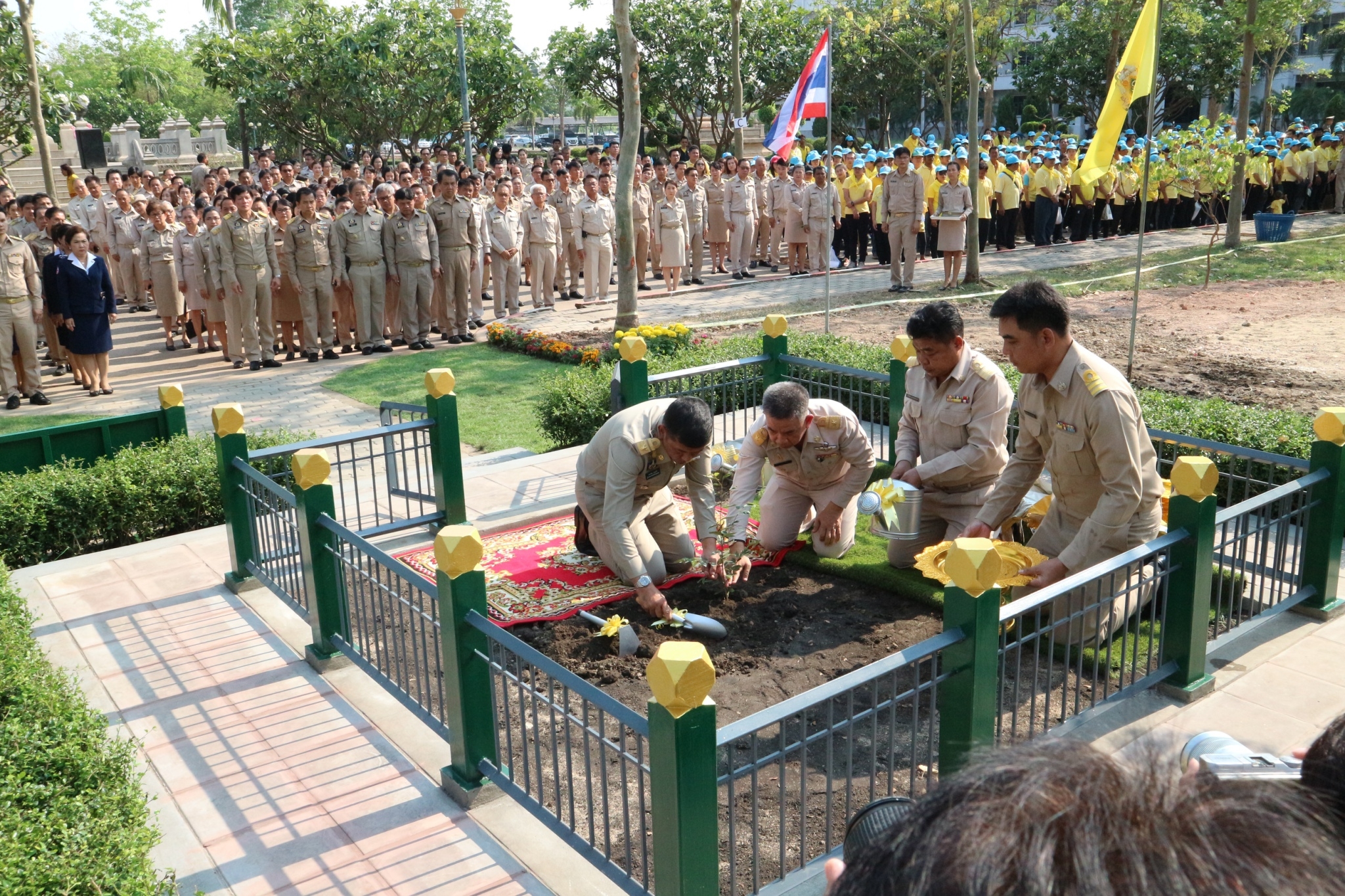 จิตอาสาพัฒนา จว.กำแพงเพชร ปลูกต้นรวงผึ้งพระราชทาน