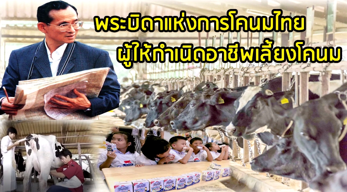 พระมหากรุณาธิคุณ รัชกาลที่ ๙ ทรงจัดตั้งฟาร์มโคนม ไทย – เดนมาร์ก ซึ่งเป็นฟาร์มโคนมแห่งแรกในประเทศไทย ในพื้นที่ จ.สระบุรี ตอนที่ ๑
