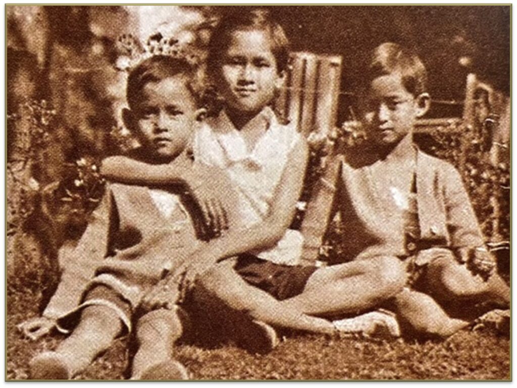 พระโสทรเชษฐภคินี