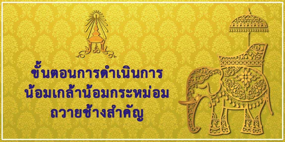 ขั้นตอนการน้อมเกล้าฯ ถวายช้างสำคัญ