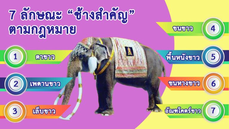 พระเศวตอดุลยเดชพาหนฯ