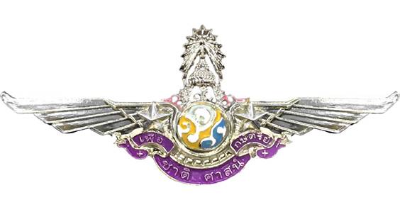 จิตอาสาพระราชทาน