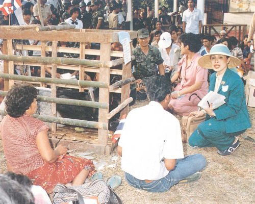 ทรงพิทักษ์รักษาสรรพสิ่ง ทรงพิทักษ์รักษาสรรพสิ่ง